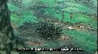 ns2961023.jpg